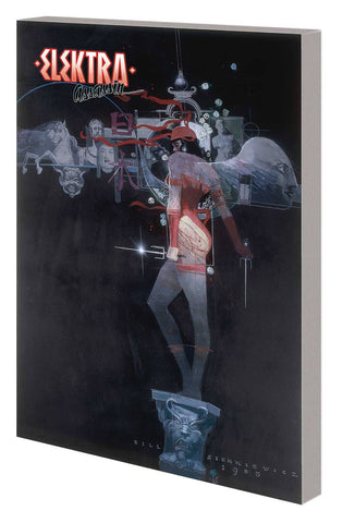 Elektra Assassin
