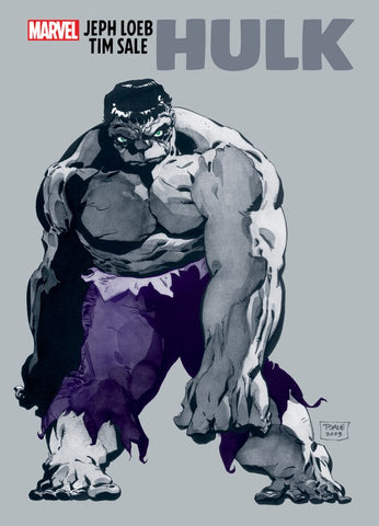 Jeph Loeb & Tim Sale: Hulk TP
